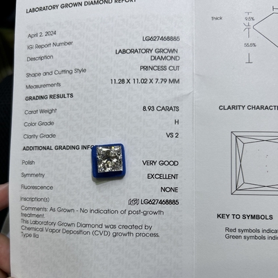 8.93CT H Color VS2 Clarity 2EX CVD Lab Grown Princess Cut Diamond
